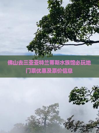 佛山去三亚亚特兰蒂斯水族馆必玩地