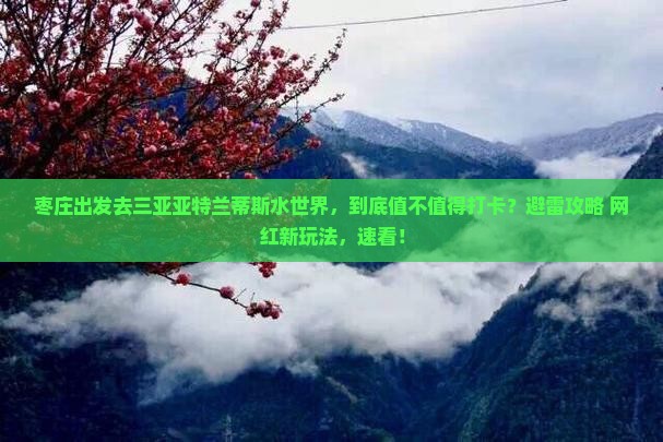 枣庄前往三亚亚特兰蒂斯水世界旅游打卡点