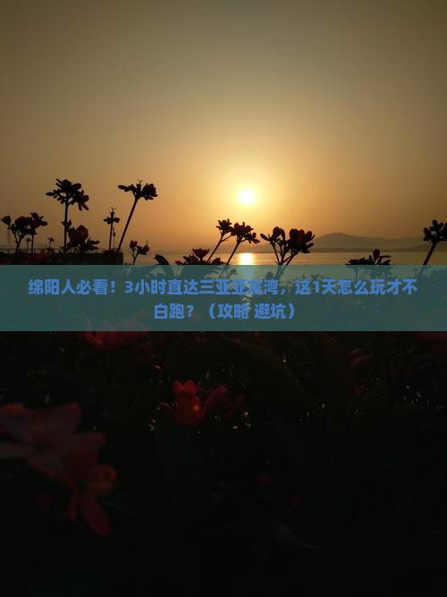 绵阳出发三亚亚龙湾热带森林公园一日游