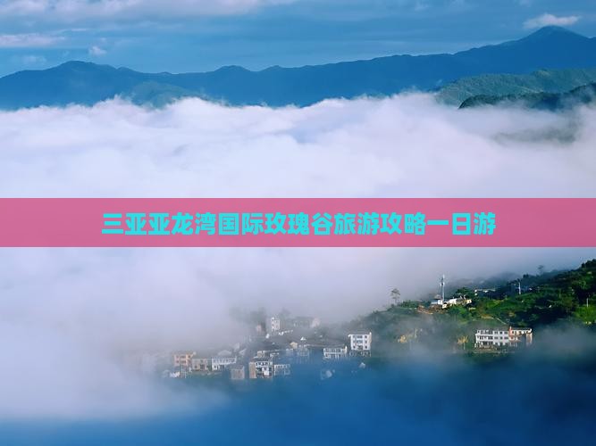 大理去三亚亚龙湾国际玫瑰谷一日游