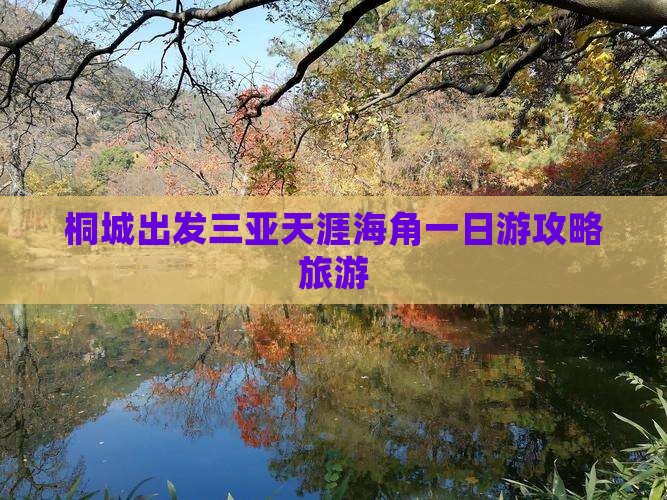 桐城去三亚天涯海角一日游