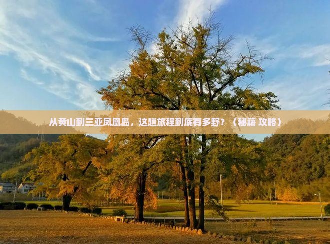 黄山出发三亚凤凰岛必玩地