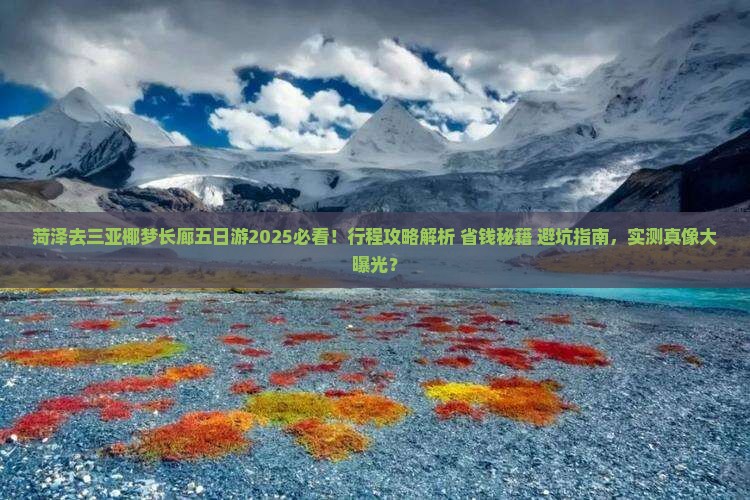菏泽去三亚椰梦长廊五日游