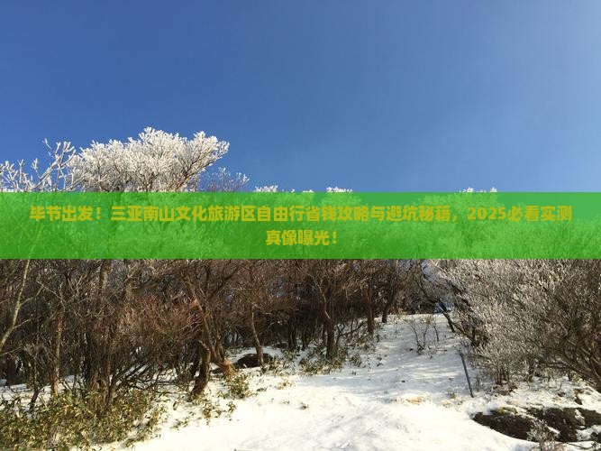 毕节去三亚南山文化旅游区自由行