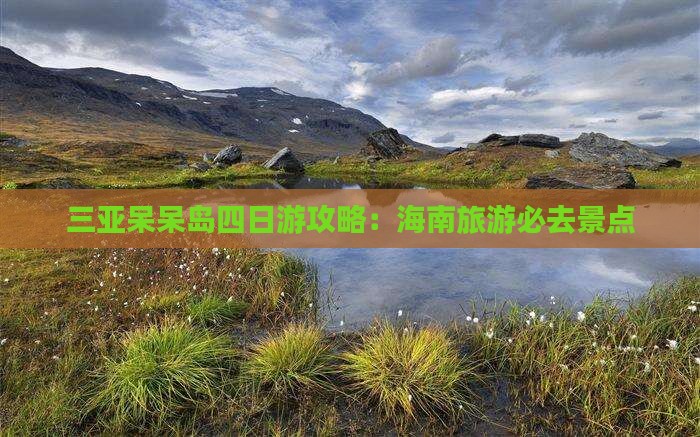 河池去三亚呆呆岛四日游