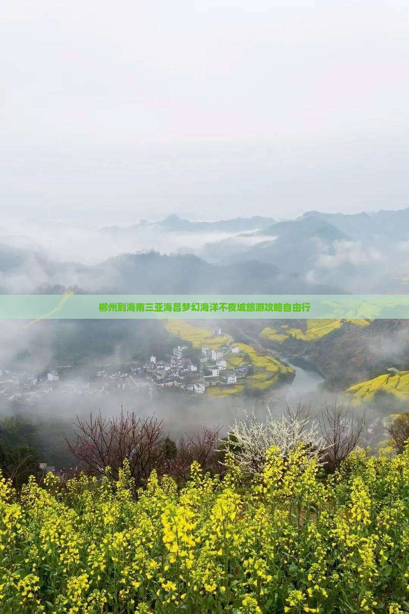 郴州到海南三亚海昌梦幻海洋不夜城旅游攻略自由行