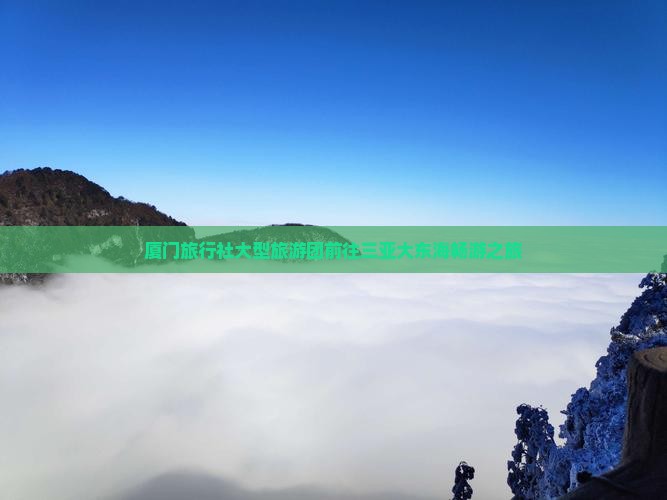 厦门旅行社大型旅游团前往三亚大东海畅游之旅