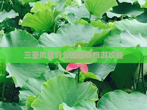 三亚凤凰岭公园团体旅游攻略