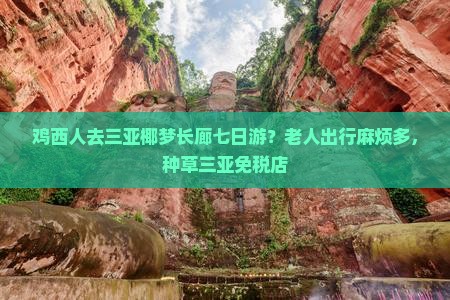 鸡西人去三亚椰梦长廊七日游？老人出行麻烦多，种草三亚免税店