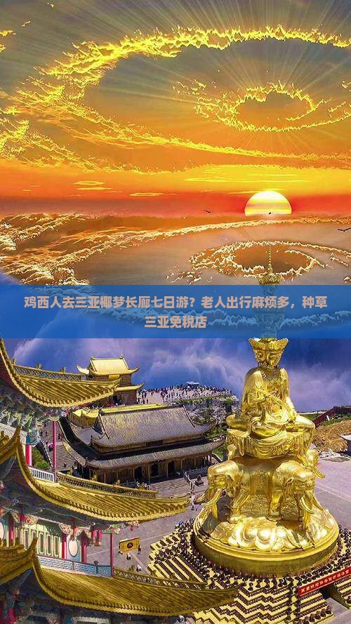 鸡西人去三亚椰梦长廊七日游？老人出行麻烦多，种草三亚免税店