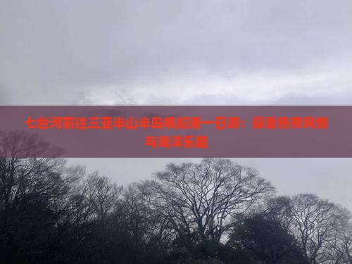 七台河前往三亚半山半岛帆船港一日游：探索热带风情与海洋乐趣