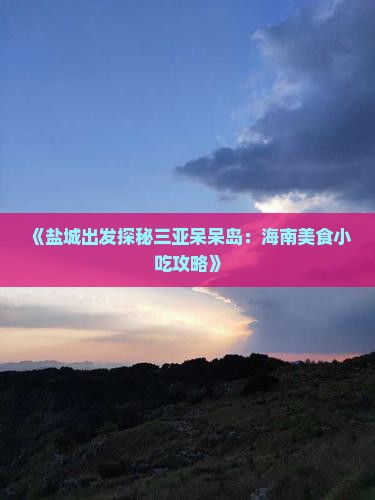 《盐城出发探秘三亚呆呆岛：海南美食小吃攻略》