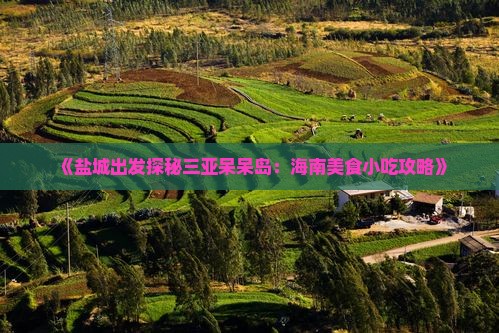 《盐城出发探秘三亚呆呆岛：海南美食小吃攻略》