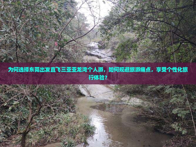 为何选择东莞出发直飞三亚亚龙湾个人游，如何规避旅游痛点，享受个性化旅行体验？