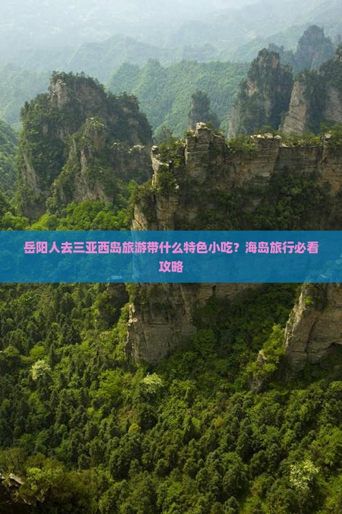 岳阳人去三亚西岛旅游带什么特色小吃？海岛旅行必看攻略