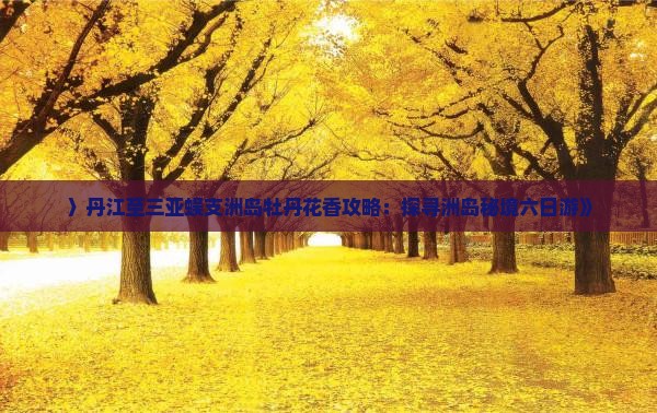〉丹江至三亚蜈支洲岛牡丹花香攻略：探寻洲岛秘境六日游》