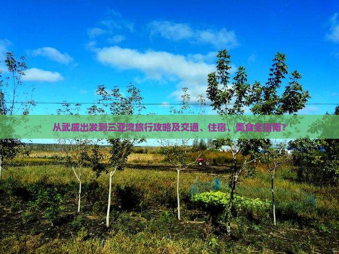 从武威出发到三亚湾旅行攻略及交通、住宿、美食全指南？