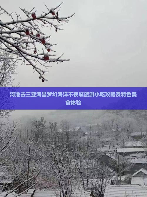 河池去三亚海昌梦幻海洋不夜城旅游小吃攻略及特色美食体验