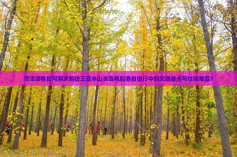 菏泽游客如何解决前往三亚半山半岛帆船港自由行中的交通痛点与住宿难题？