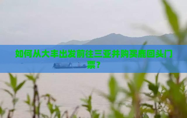 如何从大丰出发前往三亚并购买鹿回头门票？
