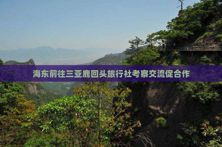 海东前往三亚鹿回头旅行社考察交流促合作