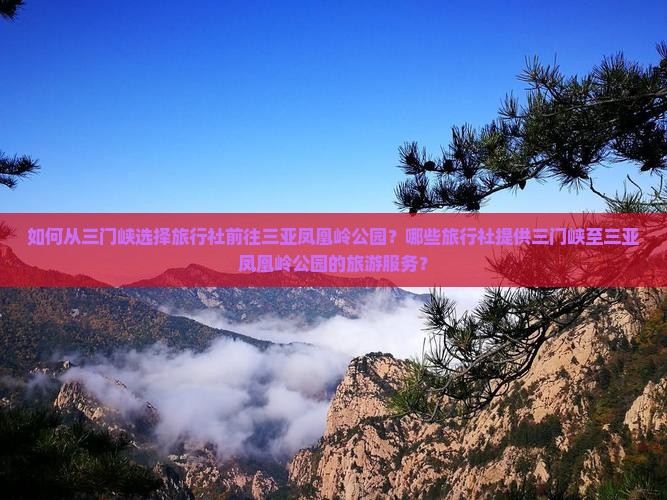 如何从三门峡选择旅行社前往三亚凤凰岭公园？哪些旅行社提供三门峡至三亚凤凰岭公园的旅游服务？