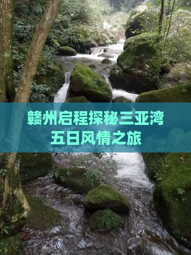 赣州启程探秘三亚湾五日风情之旅