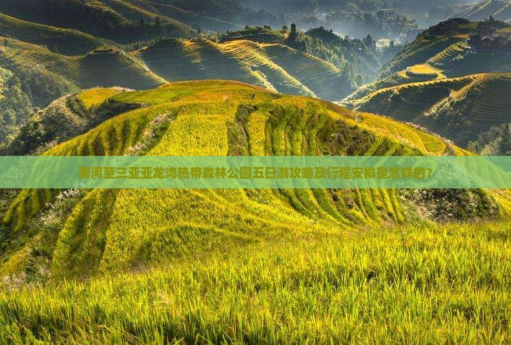 黑河至三亚亚龙湾热带森林公园五日游攻略及行程安排是怎样的？