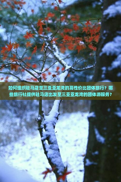 如何组织驻马店至三亚亚龙湾的高性价比团体旅行？哪些旅行社提供驻马店出发至三亚亚龙湾的团体游服务？