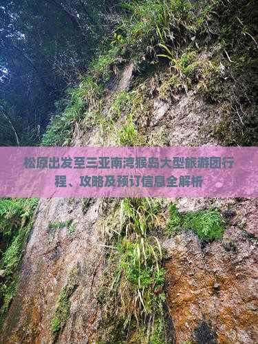 松原出发至三亚南湾猴岛大型旅游团行程、攻略及预订信息全解析