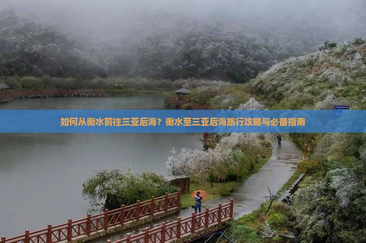 如何从衡水前往三亚后海？衡水至三亚后海旅行攻略与必备指南