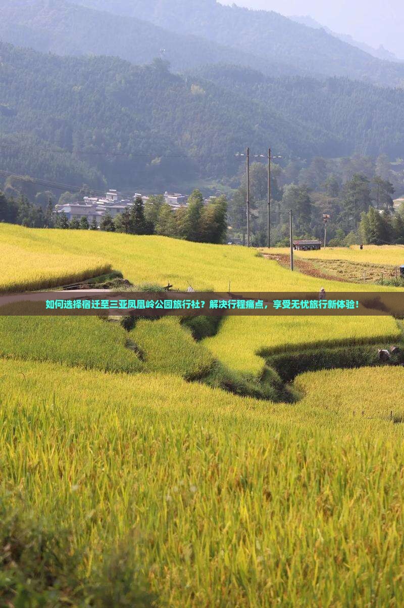 如何选择宿迁至三亚凤凰岭公园旅行社？解决行程痛点，享受无忧旅行新体验！