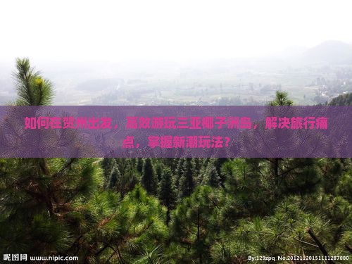 如何在贺州出发，高效游玩三亚椰子洲岛，解决旅行痛点，掌握新潮玩法？