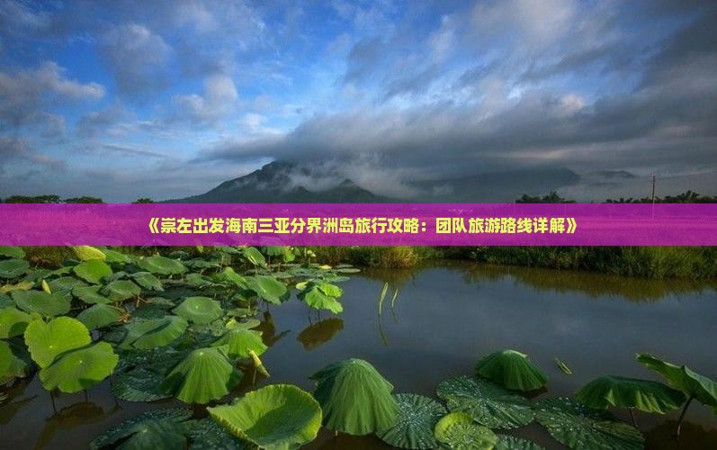 《崇左出发海南三亚分界洲岛旅行攻略：团队旅游路线详解》