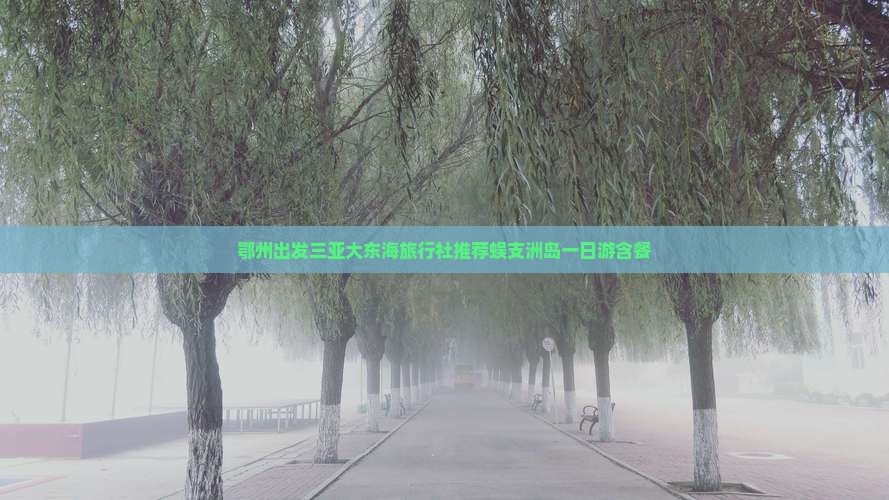 鄂州出发三亚大东海旅行社推荐蜈支洲岛一日游含餐