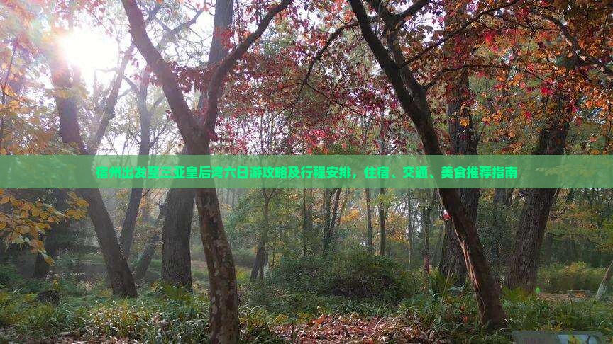 宿州出发至三亚皇后湾六日游攻略及行程安排，住宿、交通、美食推荐指南
