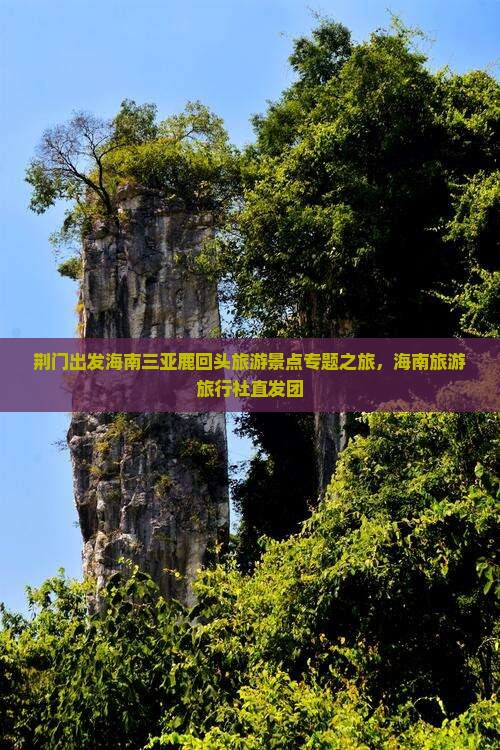 荆门出发海南三亚鹿回头旅游景点专题之旅，海南旅游旅行社直发团