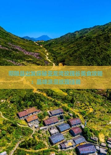 鄢陵县出发探秘亚龙湾玫瑰谷美食攻略：品味浪漫玫瑰佳肴