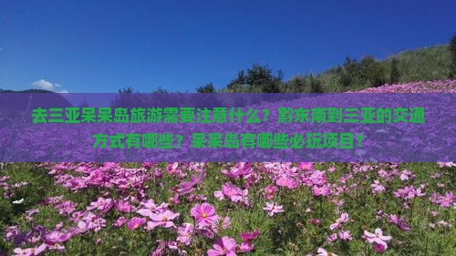 去三亚呆呆岛旅游需要注意什么？黔东南到三亚的交通方式有哪些？呆呆岛有哪些必玩项目？