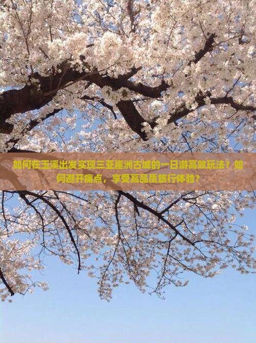如何在玉溪出发实现三亚崖洲古城的一日游高效玩法？如何避开痛点，享受高品质旅行体验？