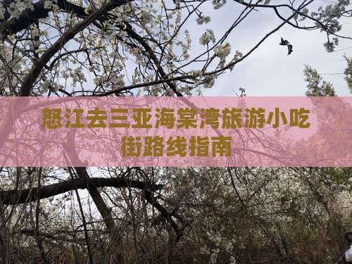 怒江去三亚海棠湾旅游小吃街路线指南