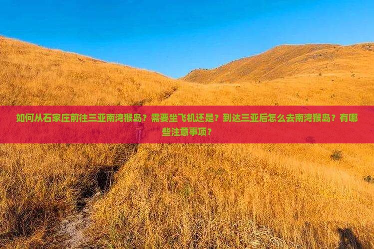 如何从石家庄前往三亚南湾猴岛？需要坐飞机还是？到达三亚后怎么去南湾猴岛？有哪些注意事项？