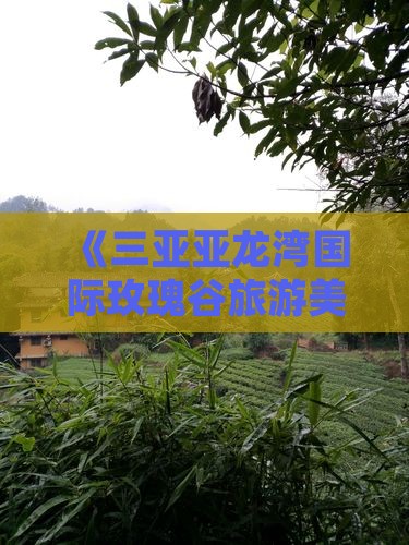 《三亚亚龙湾国际玫瑰谷旅游美食小吃攻略》