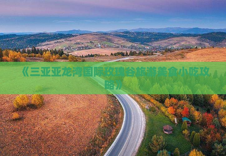 《三亚亚龙湾国际玫瑰谷旅游美食小吃攻略》