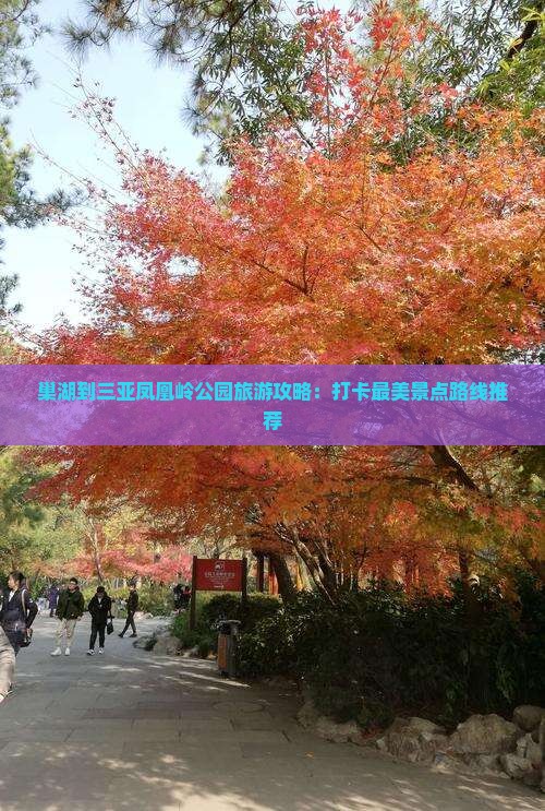 巢湖到三亚凤凰岭公园旅游攻略：打卡最美景点路线推荐