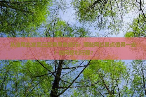 从汕尾出发至三亚呆呆岛旅行：哪些网红景点值得一去？如何规划行程？