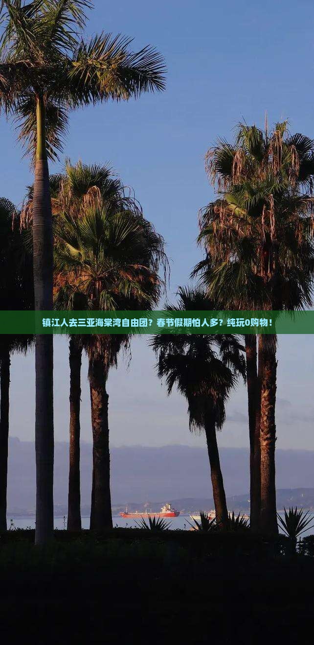 镇江人去三亚海棠湾自由团？春节假期怕人多？纯玩0购物！