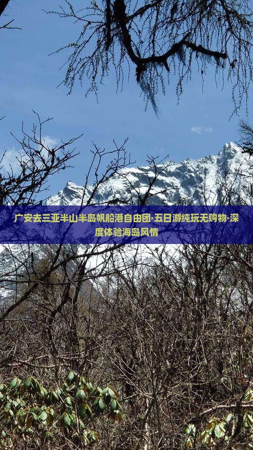 广安去三亚半山半岛帆船港自由团·五日游纯玩无购物·深度体验海岛风情
