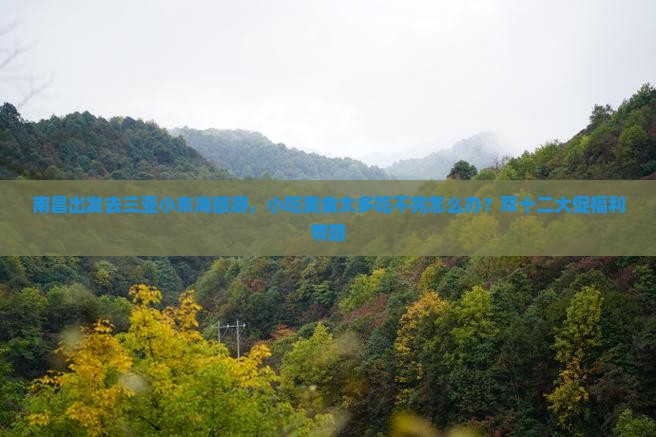 南昌出发去三亚小东海旅游，小吃美食太多吃不完怎么办？双十二大促福利带路
