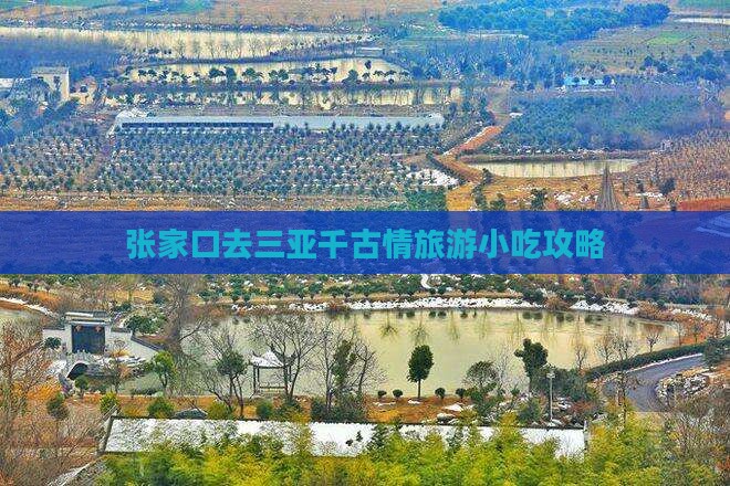 张家口去三亚千古情旅游小吃攻略
